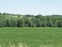Prodej pole, Tučapy, 5481 m2