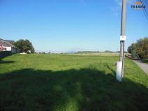 Prodej pozemku pro bydlení, Jenišovice, 1532 m2