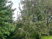 Prodej rodinného domu, Šenov u Nového Jičína, 130 m2