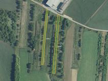 Prodej sadu/vinice, Brumovice, 4866 m2