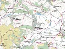 Prodej sadu/vinice, Brumovice, 4866 m2