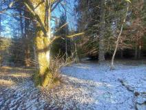 Prodej pozemku, Čachrov - Javorná, 12768 m2