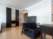 Pronájem bytu 1+kk, Praha - Motol, Kudrnova, 44 m2