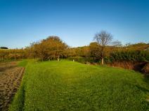 Prodej pozemku, Pitín, 768 m2