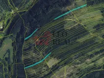 Prodej lesa, Městečko Trnávka, 33528 m2