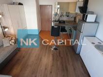 Pronájem bytu 1+kk, Praha - Dolní Měcholupy, Kardausova, 30 m2