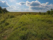 Prodej pozemku pro bydlení, Krušovice, 1250 m2