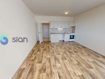 Pronájem bytu 1+kk, Ostrava - Dubina, Jana Maluchy, 32 m2