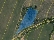 Prodej lesa, Číchov, 3220 m2