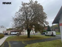 Prodej obchodního prostoru, Mírová, 101 m2