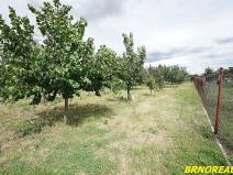 Prodej rodinného domu, Nová Ves, 200 m2