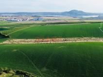 Prodej pole, Hustopeče, 3735 m2