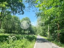 Prodej pozemku pro bydlení, Malá Morava - Vysoký Potok, 1411 m2