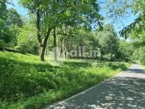 Prodej pozemku pro bydlení, Malá Morava - Vysoký Potok, 1411 m2