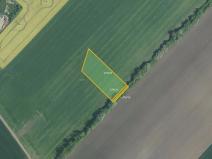 Prodej pole, Prusinovice, 2313 m2