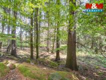 Prodej lesa, Močerady - Nové Dvory, 6098 m2