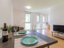 Pronájem bytu 1+kk, Králův Dvůr, Na Horizontu, 30 m2