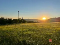 Prodej pozemku pro bydlení, Střílky, Hradská, 2884 m2