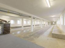 Pronájem skladu, Zámrsk - Nová Ves, 700 m2
