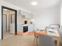 Pronájem bytu 1+1, Havířov - Šumbark, Opletalova, 28 m2