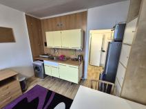 Pronájem bytu 1+kk, Liberec, Březová alej, 22 m2