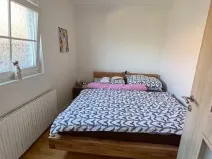 Pronájem rodinného domu, Letonice, 7070 m2