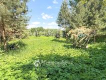 Prodej pozemku, Znojmo - Oblekovice, 8172 m2