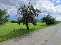 Prodej pozemku pro bydlení, Rešice, 3572 m2