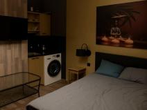 Pronájem bytu 1+kk, Praha - Žižkov, Hartigova, 22 m2