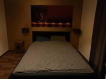 Pronájem bytu 1+kk, Praha - Žižkov, Hartigova, 22 m2
