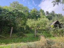 Prodej pozemku pro bydlení, Vysoké Mýto, Vinice, 1447 m2