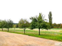 Prodej pozemku pro bydlení, Kolešovice, 986 m2