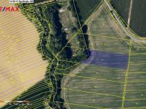Prodej pole, Spytihněv, 10240 m2