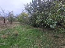 Prodej zahrady, Bohdalice-Pavlovice, 461 m2