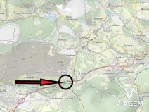 Prodej lesa, Nové Sedlo, 4582 m2