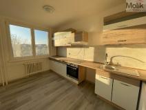 Pronájem bytu 3+1, Litvínov - Hamr, Přátelství, 62 m2