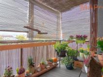 Prodej bytu 3+1, Chomutov, Smetanova, 77 m2