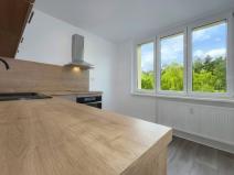 Pronájem bytu 3+1, Chomutov, Školní pěšina, 62 m2