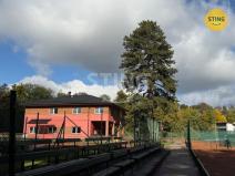 Pronájem kanceláře, Frýdlant nad Ostravicí, Sportovní, 52 m2