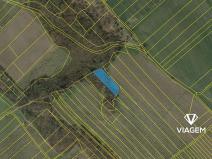 Prodej podílu lesa, Semtěš, 1191 m2