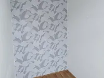 Pronájem bytu 1+1, Plzeň, Stehlíkova, 57 m2