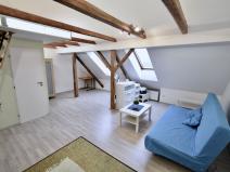 Pronájem bytu 1+kk, Brno - Lesná, Okružní, 35 m2