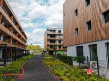 Pronájem bytu 1+kk, Plzeň, Kartónová, 30 m2