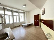 Pronájem bytu 1+kk, Praha - Žižkov, Prokopova, 20 m2