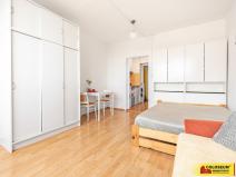 Pronájem bytu 1+kk, Brno - Řečkovice, 28 m2