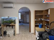 Pronájem obchodního prostoru, Chomutov, Školní pěšina, 66 m2