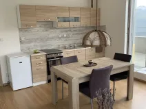 Pronájem bytu 1+kk, Kladno, Jaroslava Holečka, 34 m2