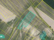 Prodej podílu 1/8 pole, Hlavečník, 3089 m2