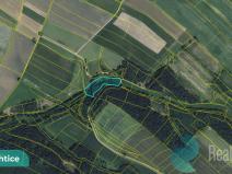 Prodej louky, Výprachtice, 6838 m2