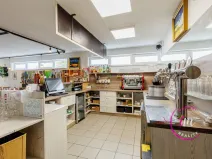 Prodej obchodního prostoru, Jihlava - Horní Kosov, Buková, 242 m2